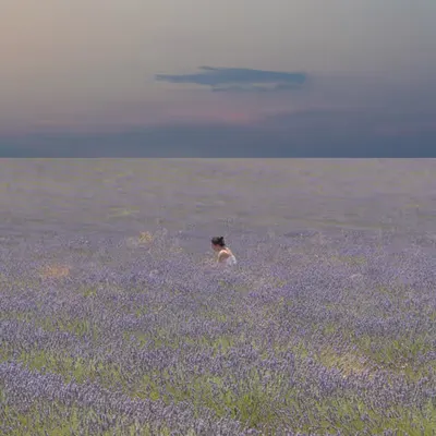 Self portrait in a field of dreams