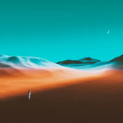 Passenger