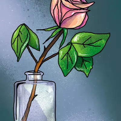 A rose.