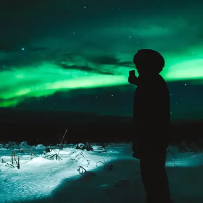 Borealis