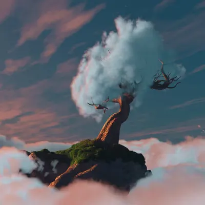 Cloud Tree (2020)