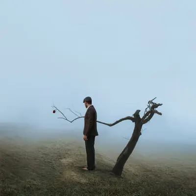 The last apple