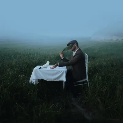 The seeds of peace