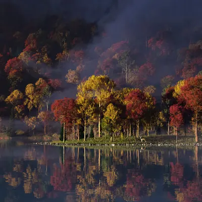 Peak Color (2022)