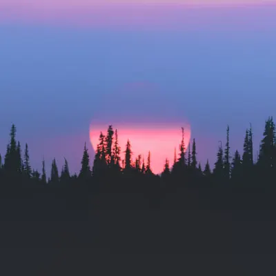 Steady Sun 