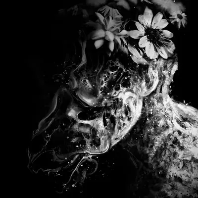 Flowers  My Mind
