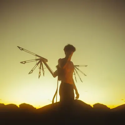 ICARUS