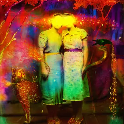 Untitled (From Plasma Serie)