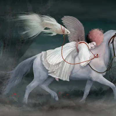 Horseback Riding