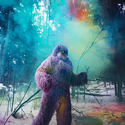Yeti