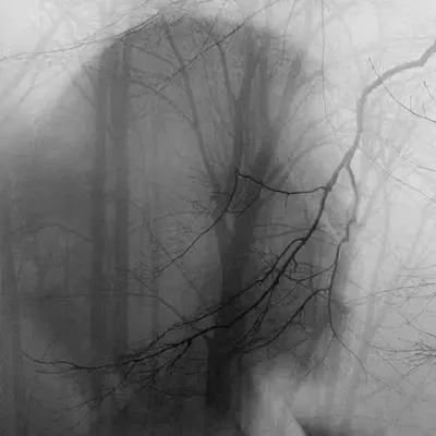 Lost Dreams
