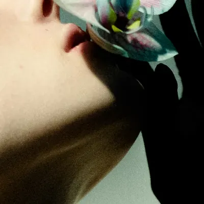 Orchid