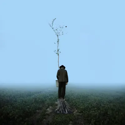Sapling