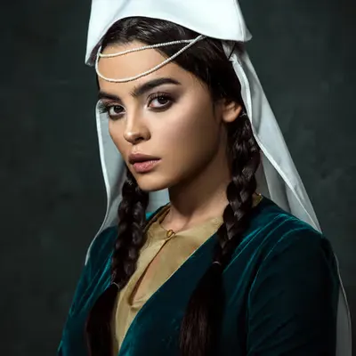 A Portrait of The Princess of Persia 