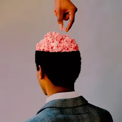 Can I Pick Your Brain?