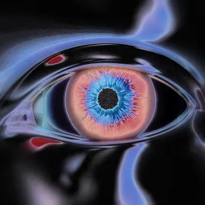 The Universe