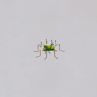 𝘚𝘪𝘦𝘨𝘦 𝘰𝘧 𝘍𝘦𝘢𝘳