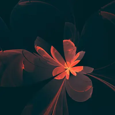 Just a Flower