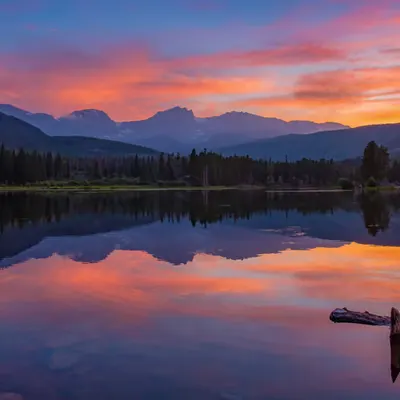 Painted Reflection