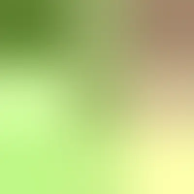 --
