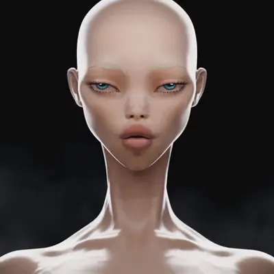 The Face