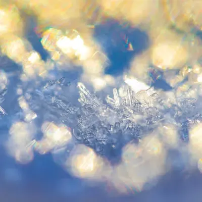 Frosted Chromatics 