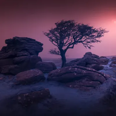 Crimson Dawn