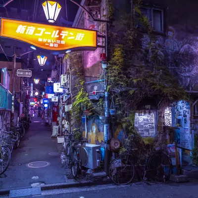 The Heart of Shinjuku