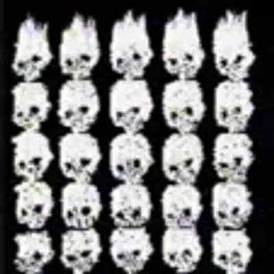BTC SKULLS