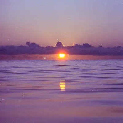 Next to The Sun