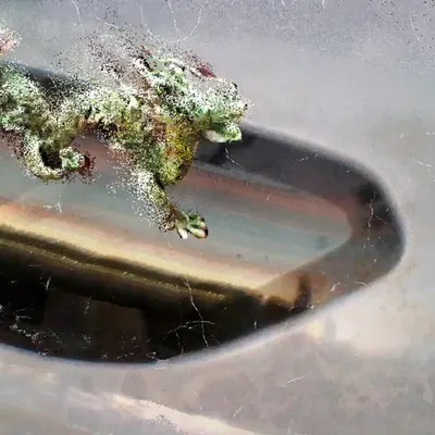 Dragon Pix