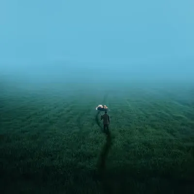 The weeping meadow