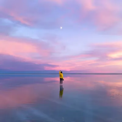 Within Reach