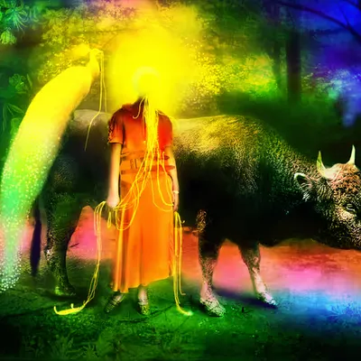 Untitled (From Plasma Serie)