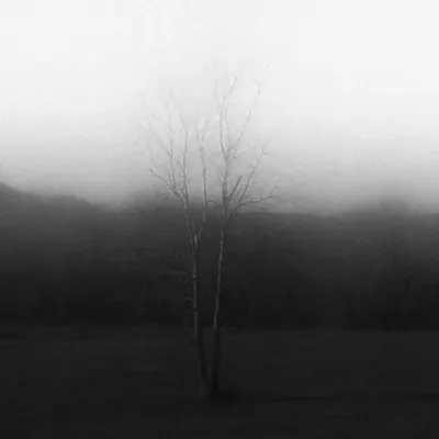 Nothing grows here anymore