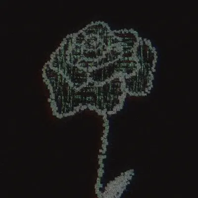 seed