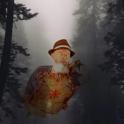 Nick FOREST Stage Series