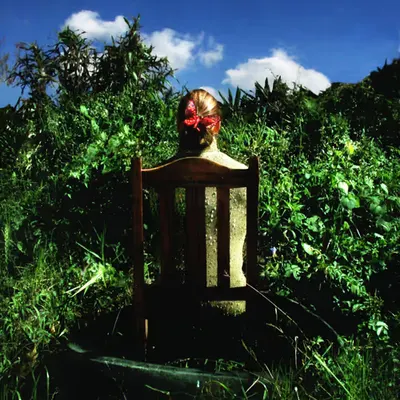 Untitled or The Contemplation | From Mimicry Serie