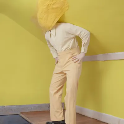 Fly on the Wall