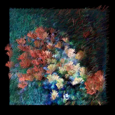 Darn (b71b,m,2860,3-20,4,8,15,3,5)