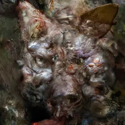 WolfPig!