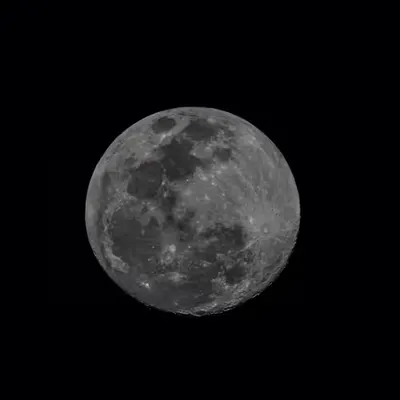 First Moon of the New Cycle 