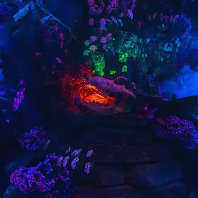 Dragon Temple