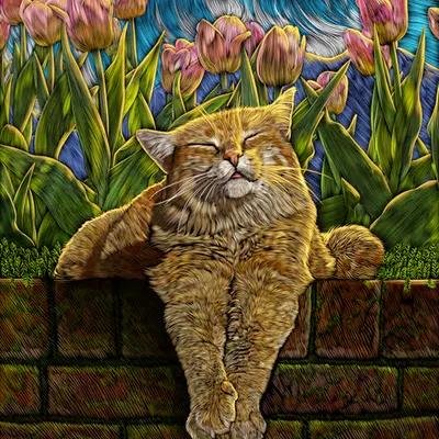 Catnap