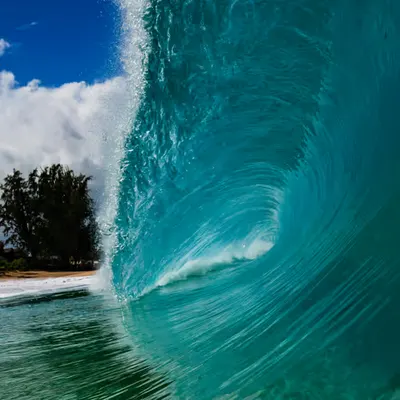 Shoreline Wall 