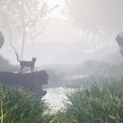 The Dawning