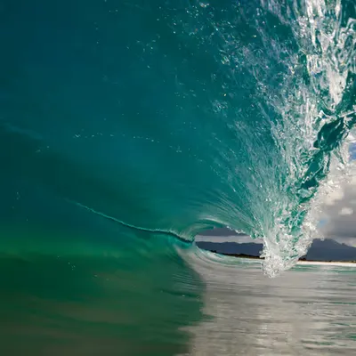 Aloha  