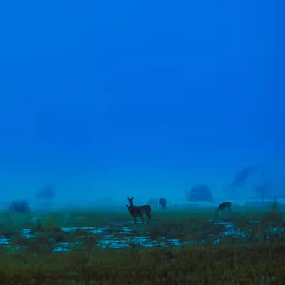 Silence