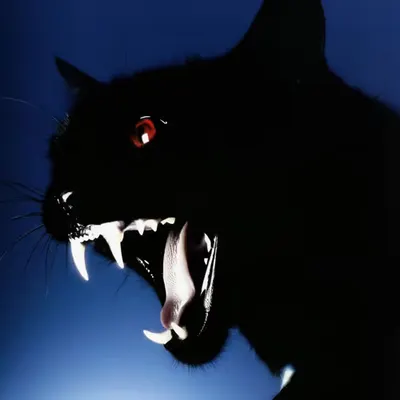 Red Eye