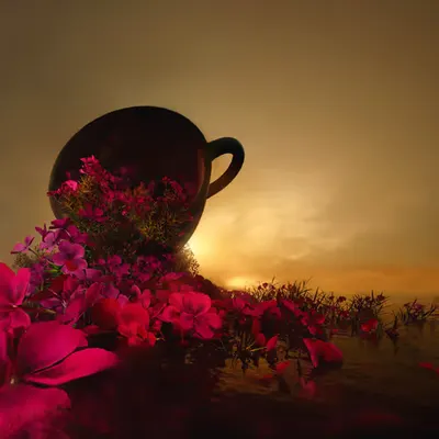 Eden Spellbound